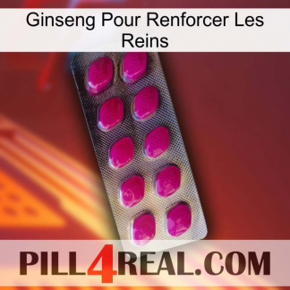 Ginseng For Reinforcing Kidney 09